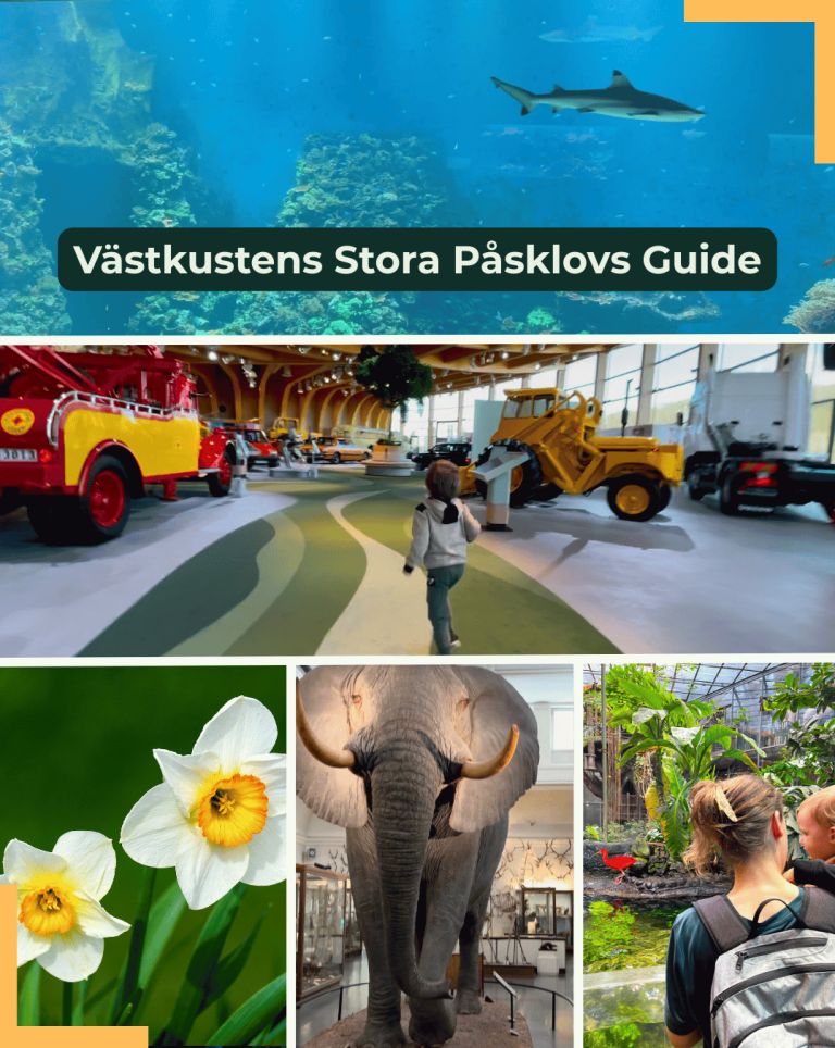 Illustration med valkonstruktioner och bilder från sportevenemang och natur.