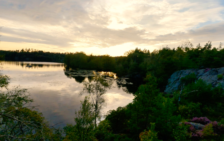 Solnedgång i skogen Solnedgång över stilla sjö, omgiven av grönska och klippiga kanter.