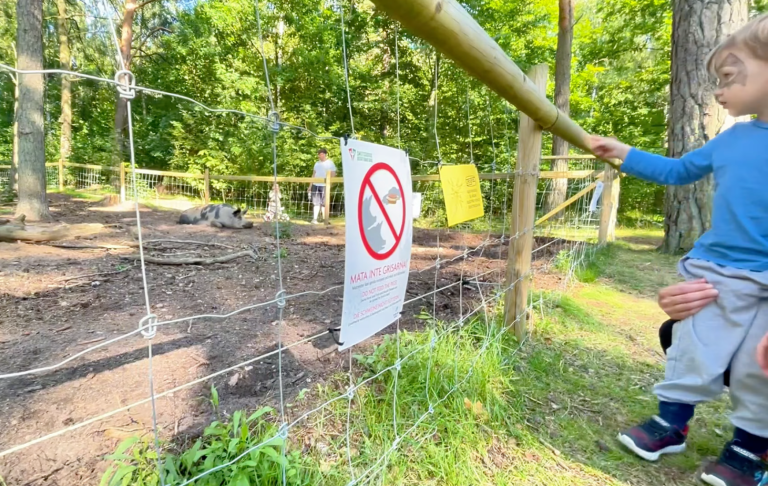 Barn står vid en avspärrning i en park, med en skylt om att hålla avstånd.