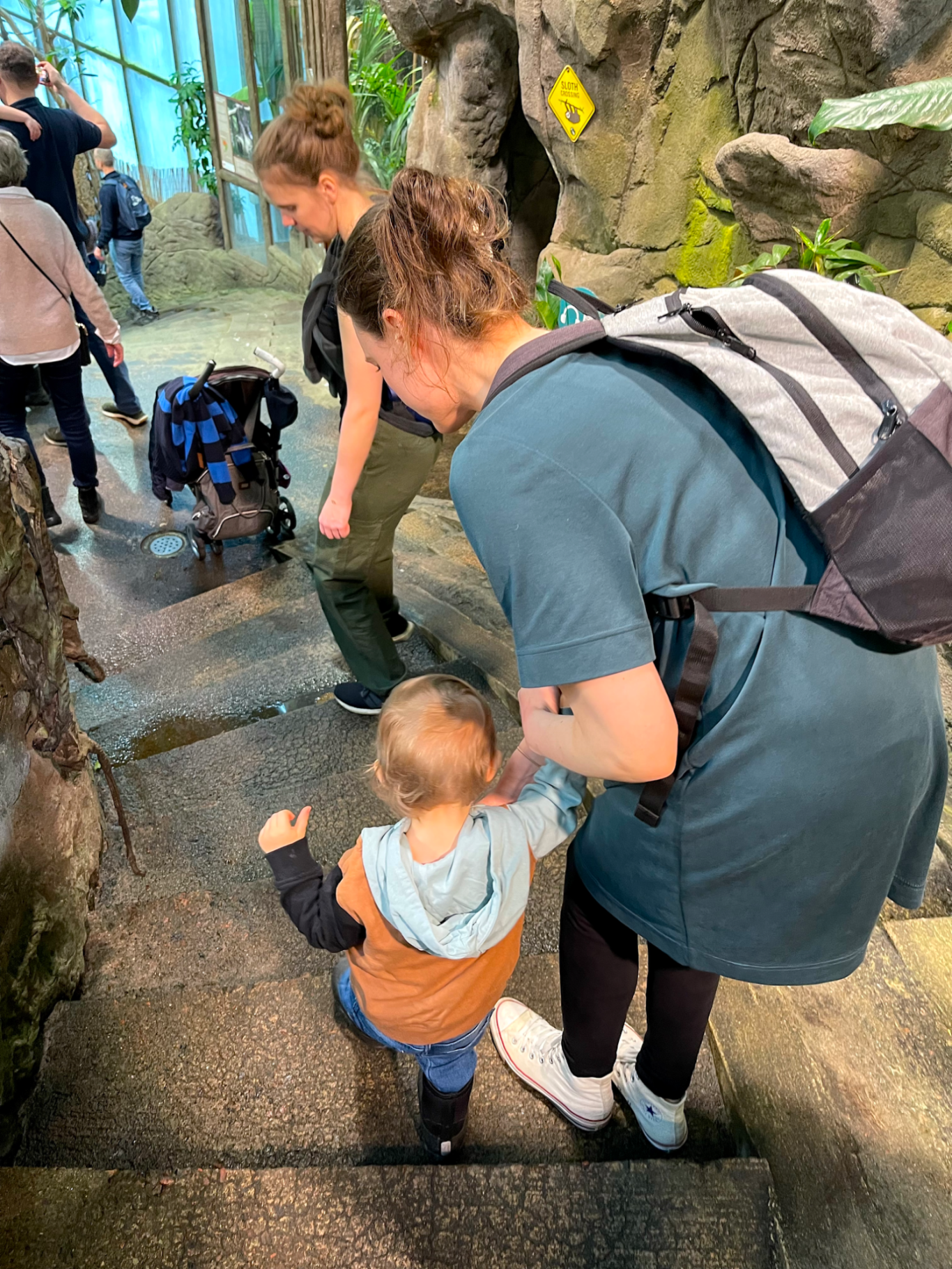 Djungeln Två vuxna hjälper ett barn nedför en trappa i en djurpark miljö.