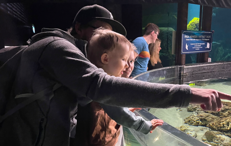 En vuxen och ett barn observerar fiskar i ett akvarium.