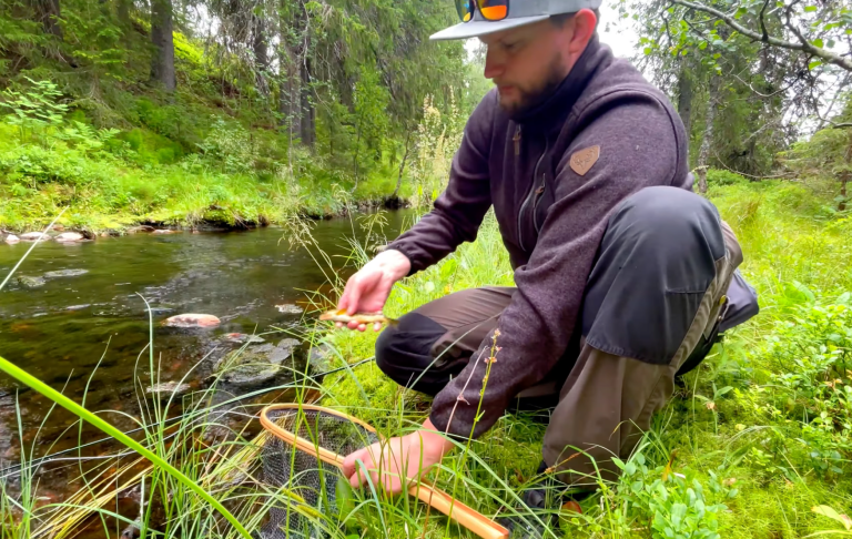 En person sitter vid en å och håller en korg medan han inspekterar vattnet.