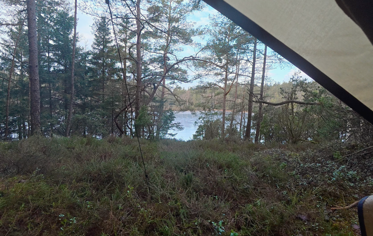 Utsikt över en sjö omgiven av skog och buskar.