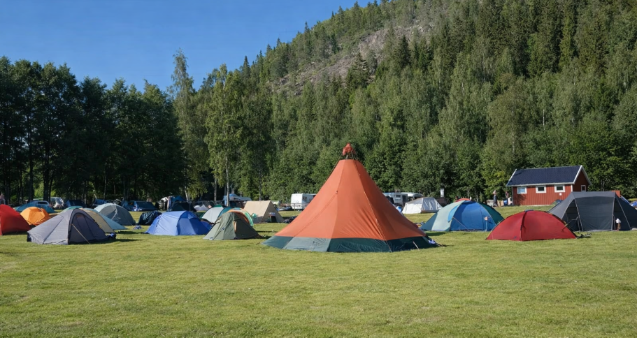 En Outdoorfestival Tält på en grön äng omgiven av träd och en blå himmel.