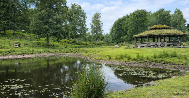 Grön park med en damm och ett pagodliknande hus i bakgrunden.