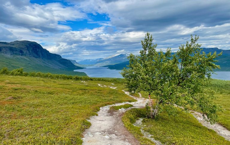 Stig genom grönska med fjäll och sjöar i bakgrunden under en molnig himmel.