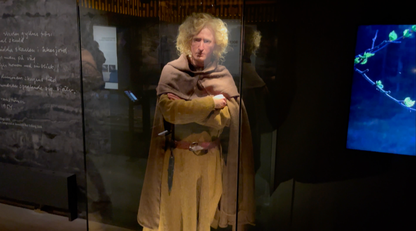 Så såg Bockstensmannen ut En person i historisk klädsel står bakom glas i ett museum.