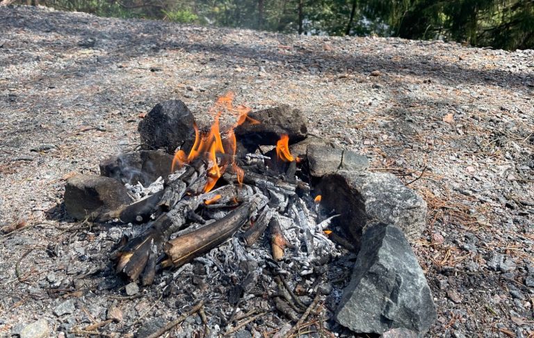 Eld som brinner i en stenlagd grillplats omgiven av grus och träd.