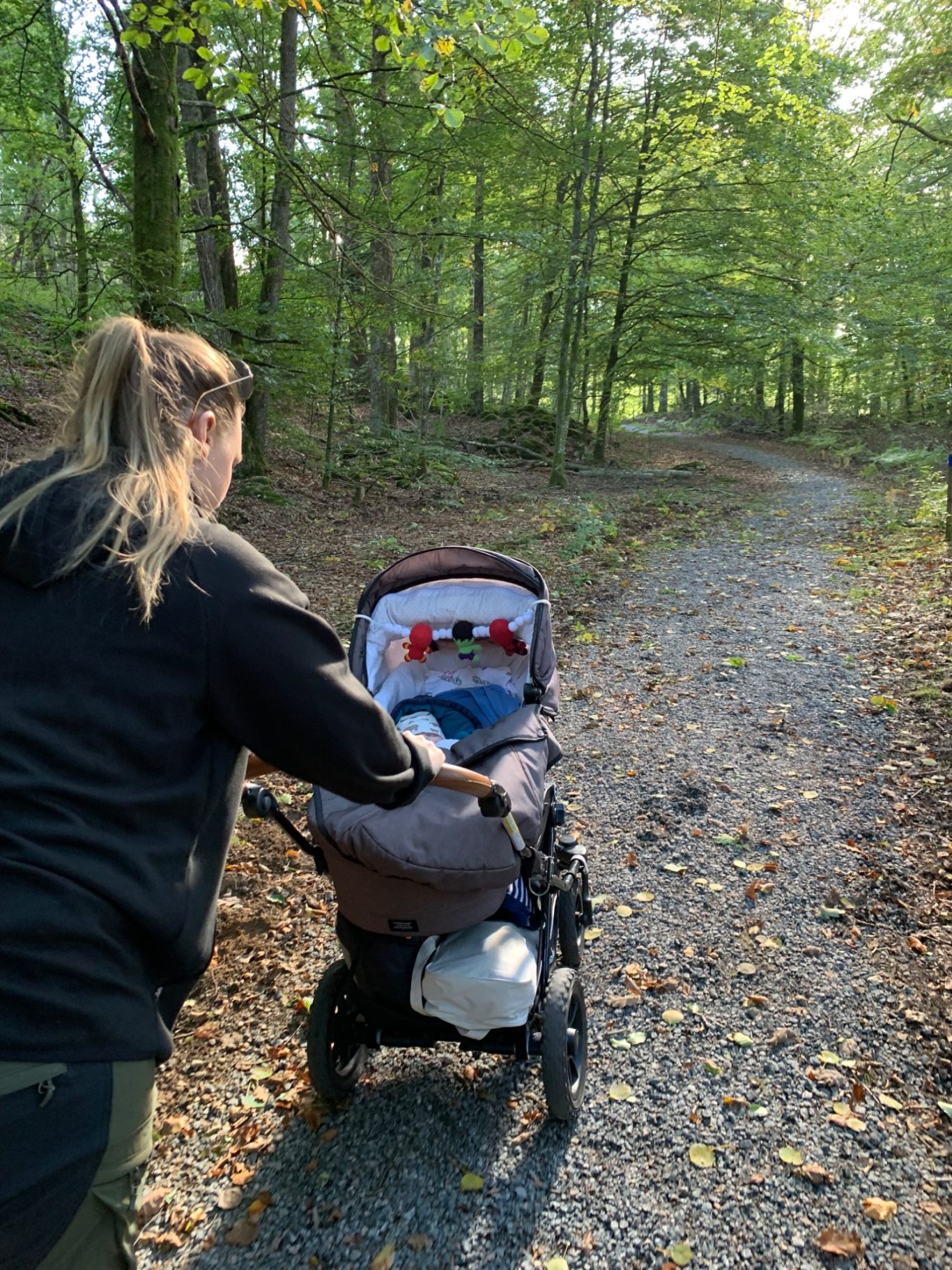 Promenad En person skjuter barnvagn längs stigen i en grönskande skog.