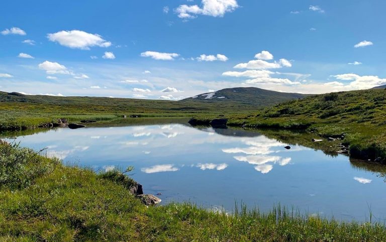 Lugnt vattenspegel med grönska och fjärran fjäll under en klarblå himmel.
