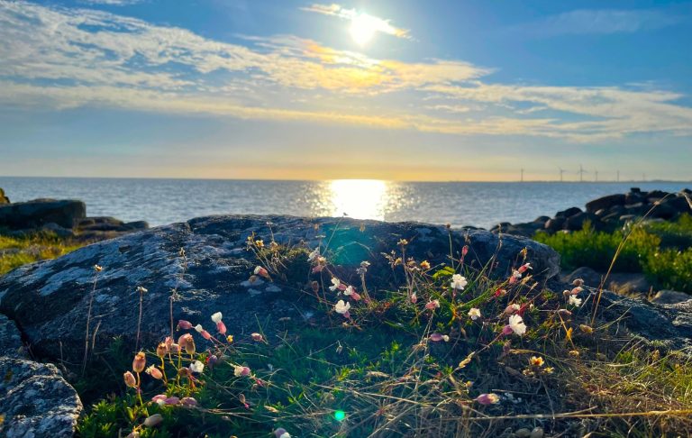Skidbacke med gondol och snöklädda landskap i skymning.