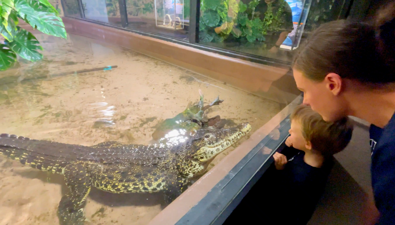 Varbergs Tropikarium