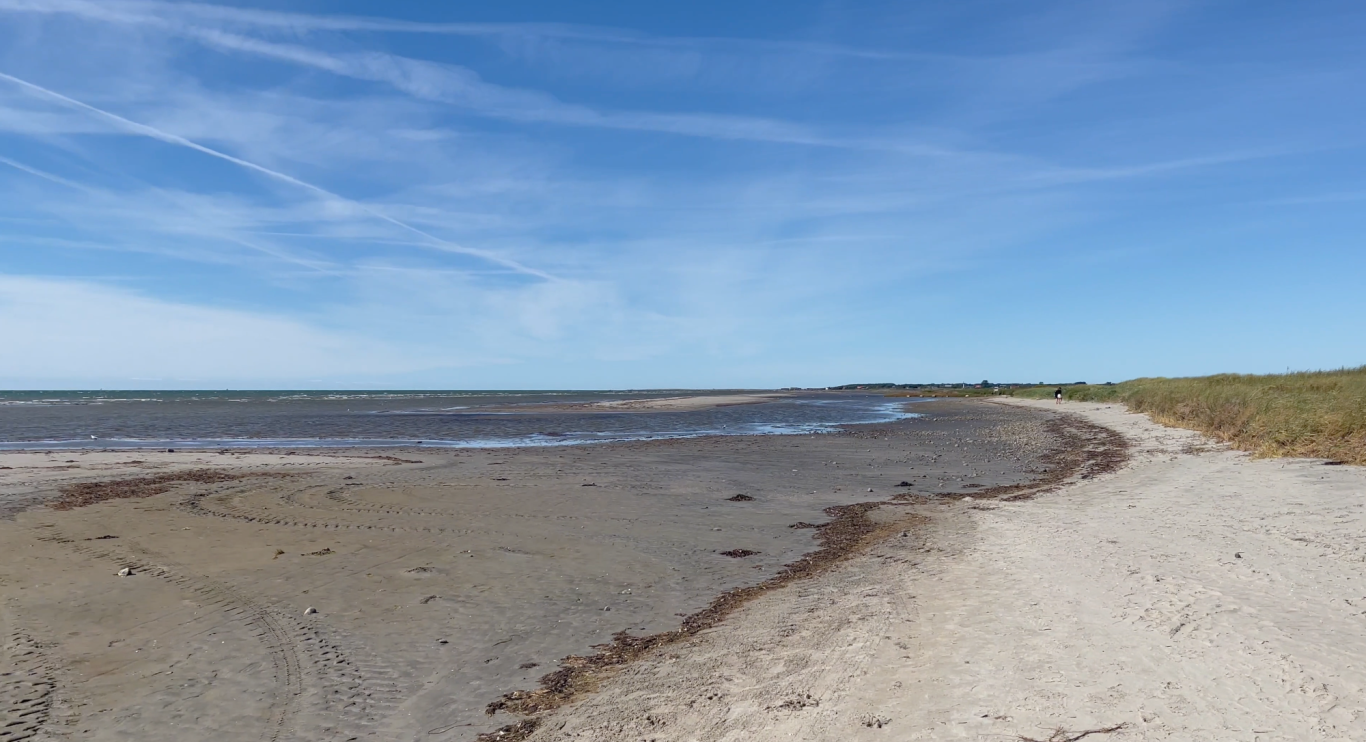 Stranden Björkängs Camping Sandig strand med lugnt vatten och blå himmel, omgiven av grönska.