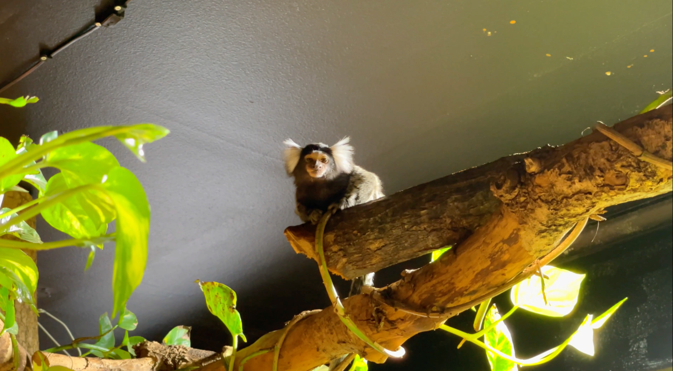 Varbergs Tropikarium