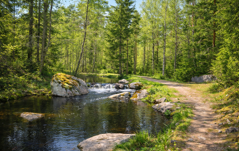 Lummig skog med den klara Flugströmmen som rinner vid en grusväg. Grönskande omgivningar.