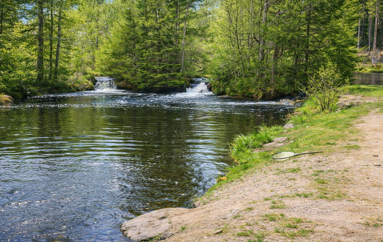 Lugn flod med forsar, omgiven av grönskande träd och gräs.