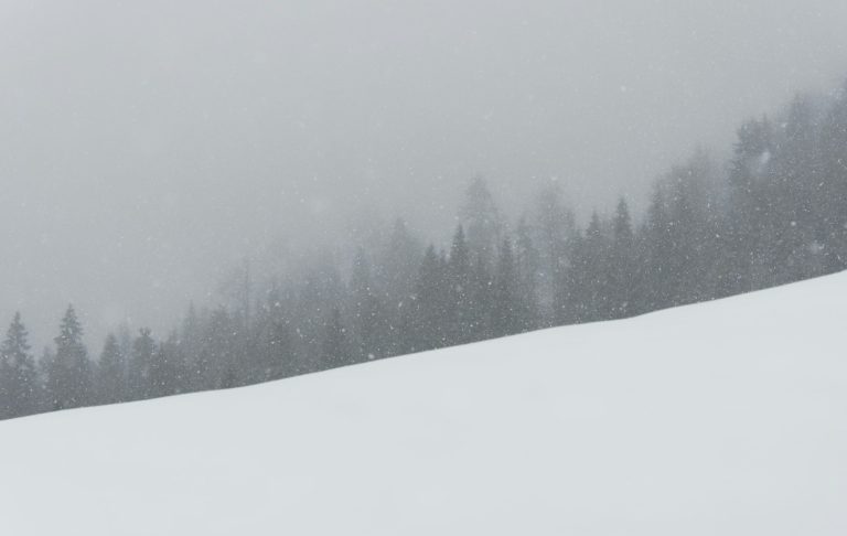 Snöig landskap med träd i dimma och snöfall.
