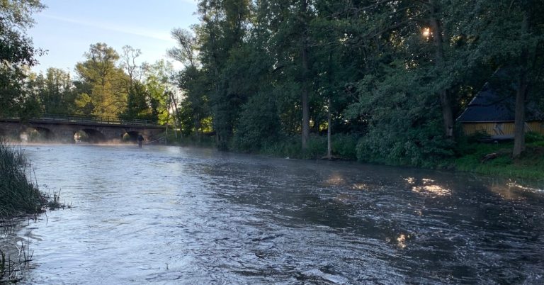 Lugn flod med dimma, omgiven av träd och en bro i bakgrunden.