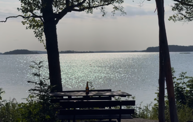 Utsikt över stilla vatten med en bänk i förgrunden, omgiven av träd.