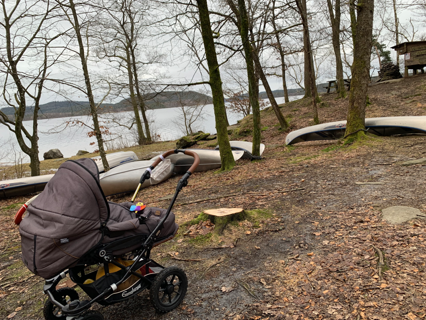 Stora Hornsjön Barnvagn på en stig vid vattnet med kanoter och träd i bakgrunden.