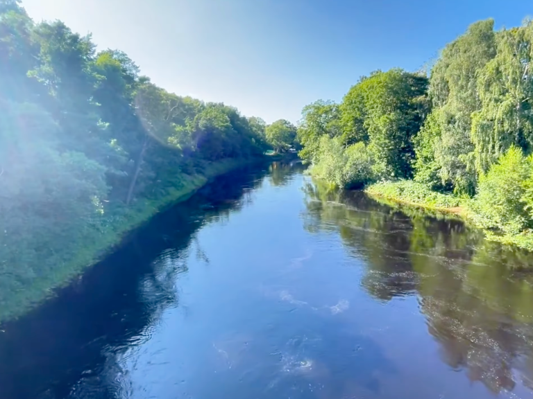 Lugn flod omgiven av grönska och träd i klart väder.