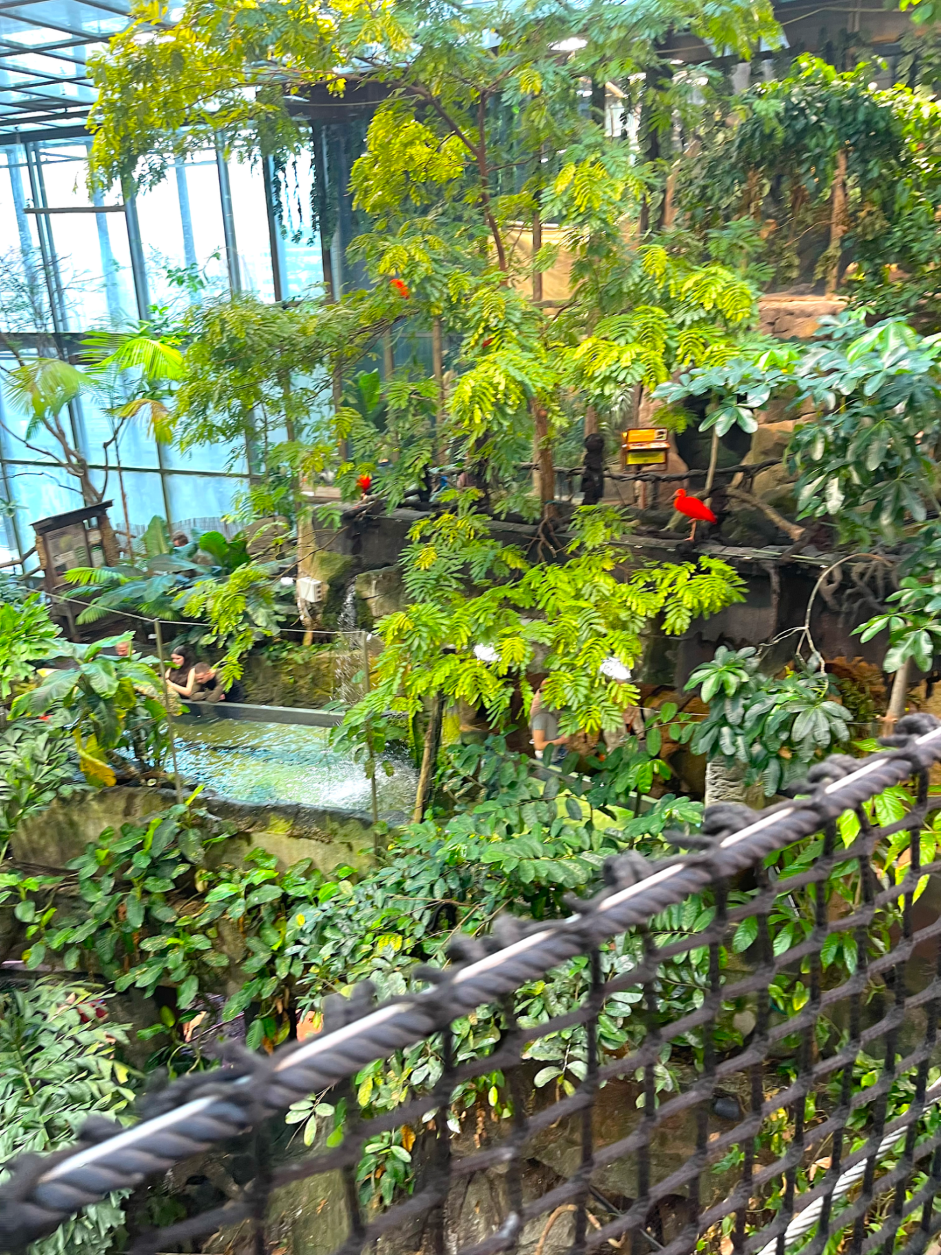 Djungeln på Universum