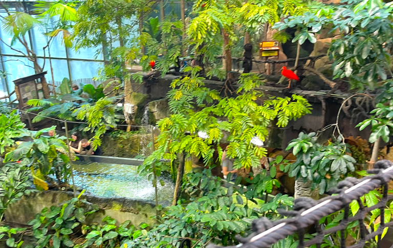 Frodig tropisk trädgård med vattenfall och röda fåglar.