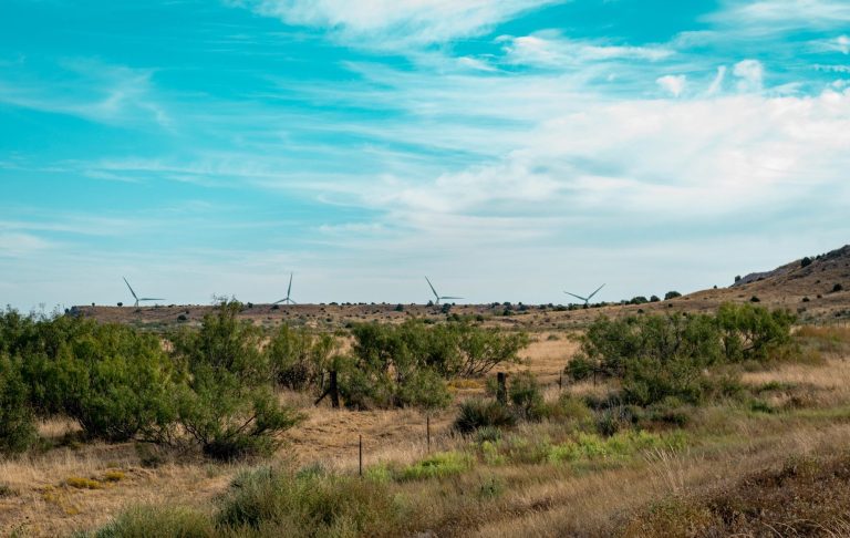Ökenlandskap med låg vegetation och en blå himmel med moln.