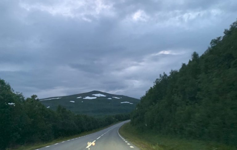På vägen i fjällen Väg som leder genom grönskande landskap under en mulen himmel.