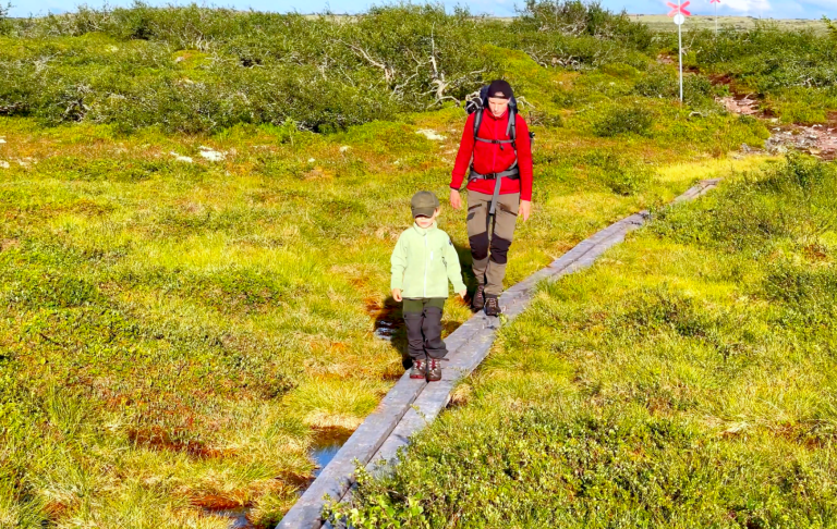 Vandrare i röd jacka och barn på en träbro genom grönskande område.