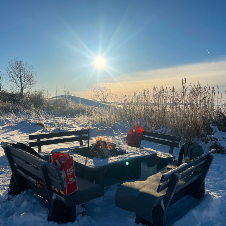 En eldplats med bänkar och en brinnande eld en vinterdag i naturen Lägerplats med bänkar runt en eldstad i snöigt landskap under solig himmel.