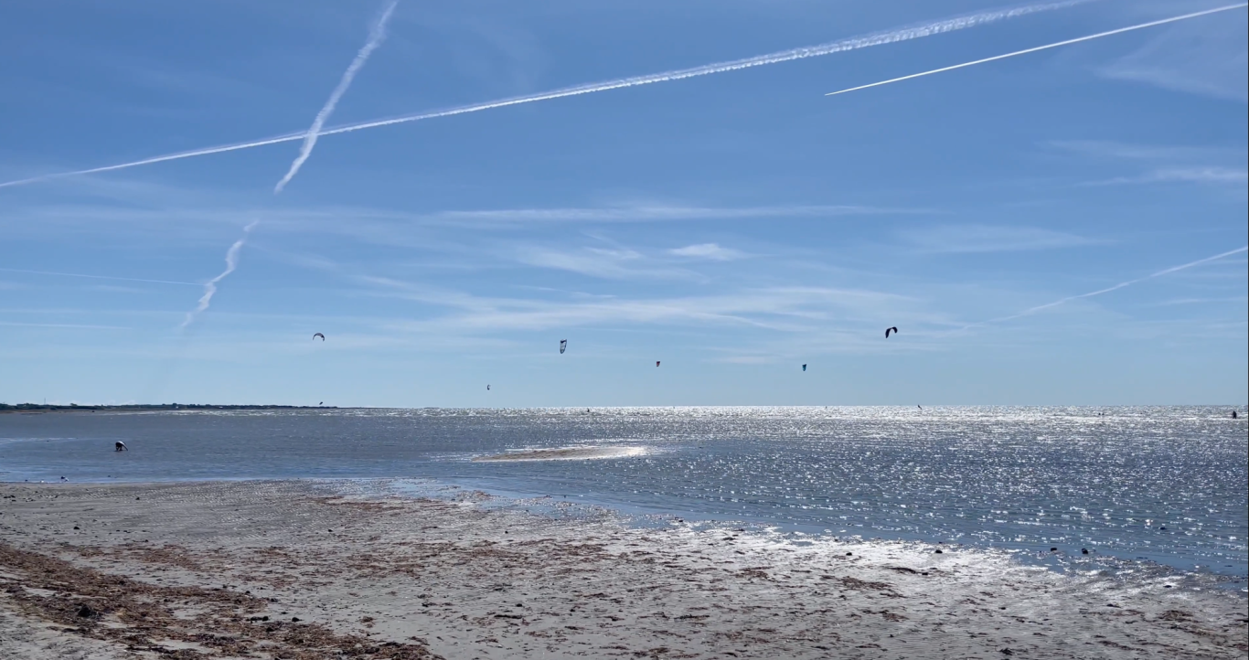 Björkängs strand Sjöutsikt med klarblå himmel, få segelflyg och sandstrand i förgrunden.