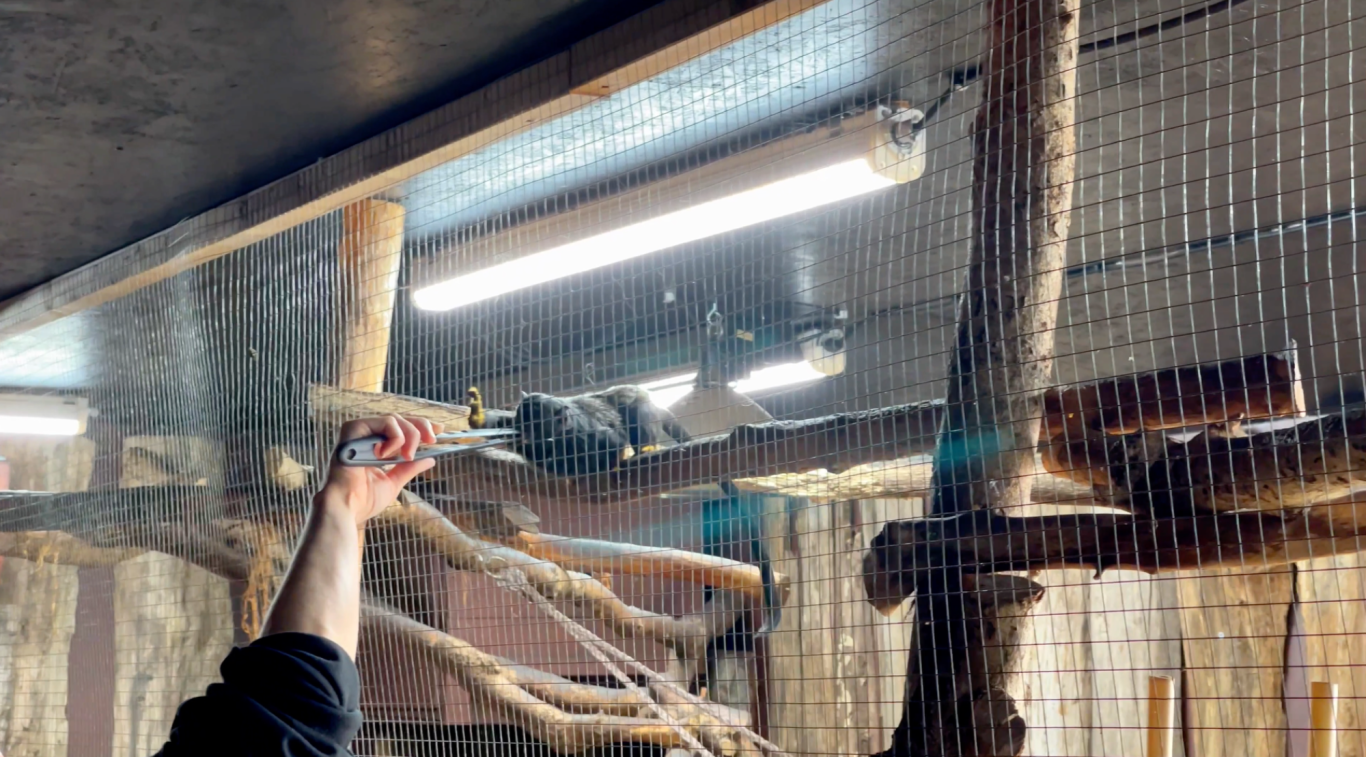 Varbergs Tropikarium