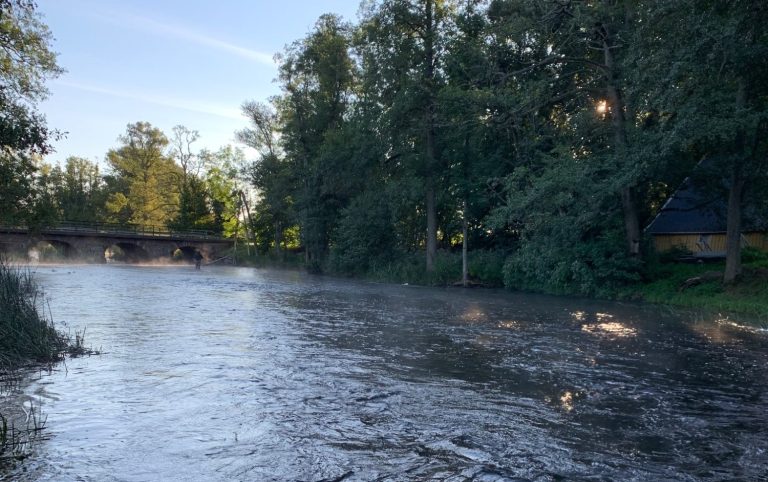 Lugnt vattendrag omgiven av träd och dimma i gryningen.