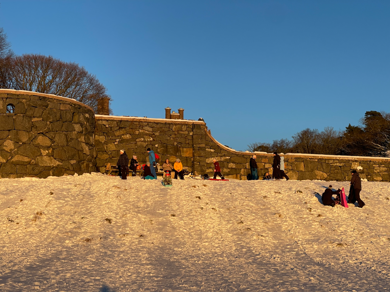 Pulka åkning Barn och vuxna åker kälke nedför en snötäckt backe vid en stenmur.