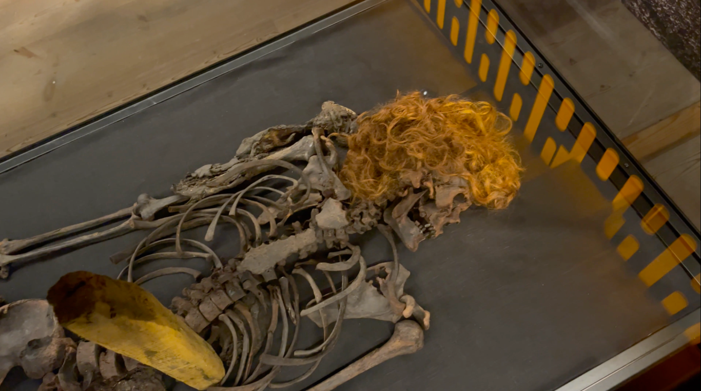 Bockstensmannen i monter Skelett med orange hår och guldfärgad klädsel, placerad i en glasmonter.