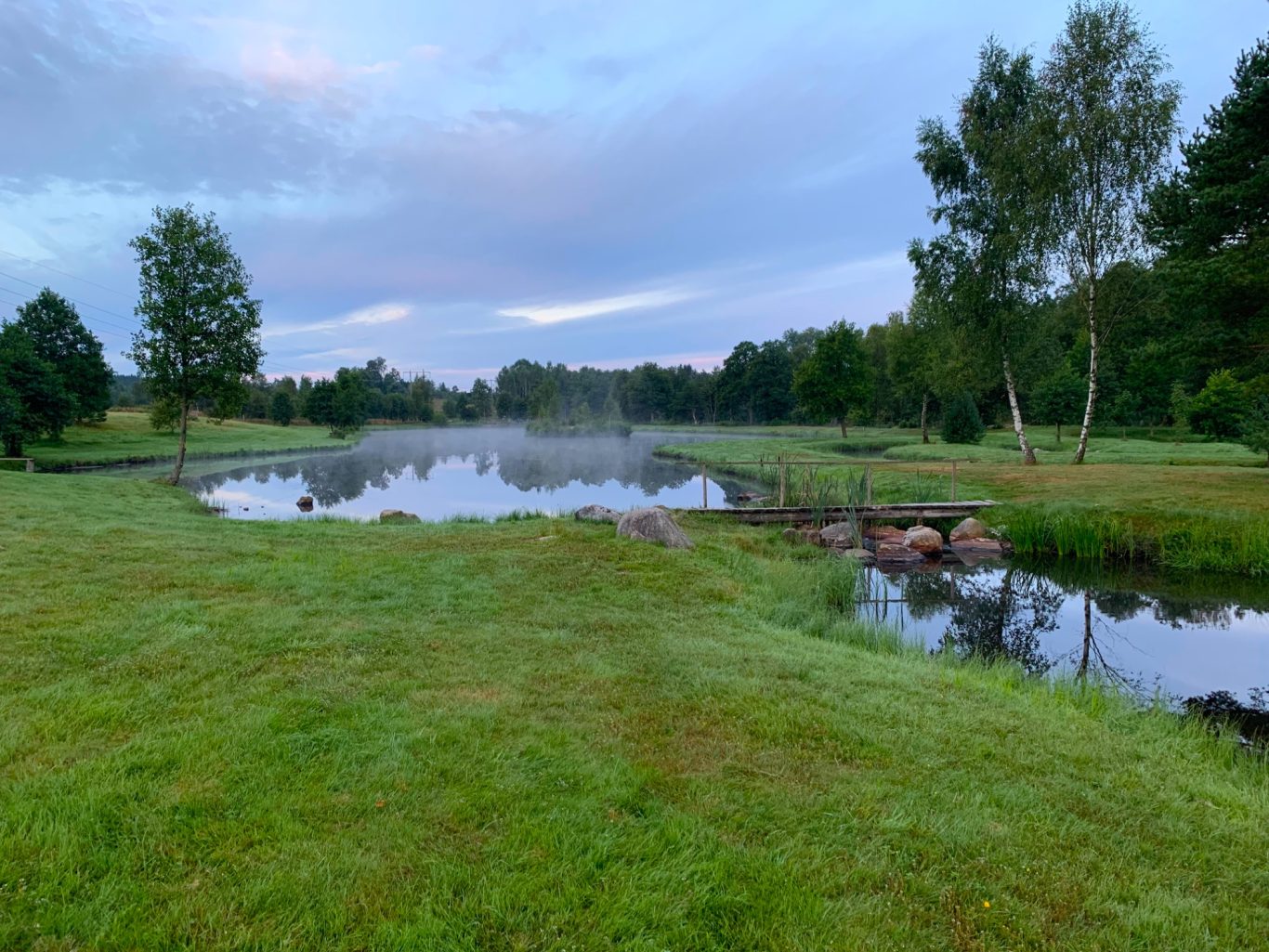 Tidig morgon i Sunnedamm Sportfiske Lugn damm med dimma, omgiven av grönska och träd i gryningens ljus.