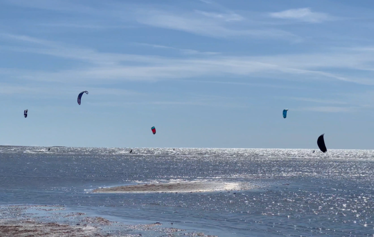 Kitesurfare i blått och svart på havet under en klar himmel.