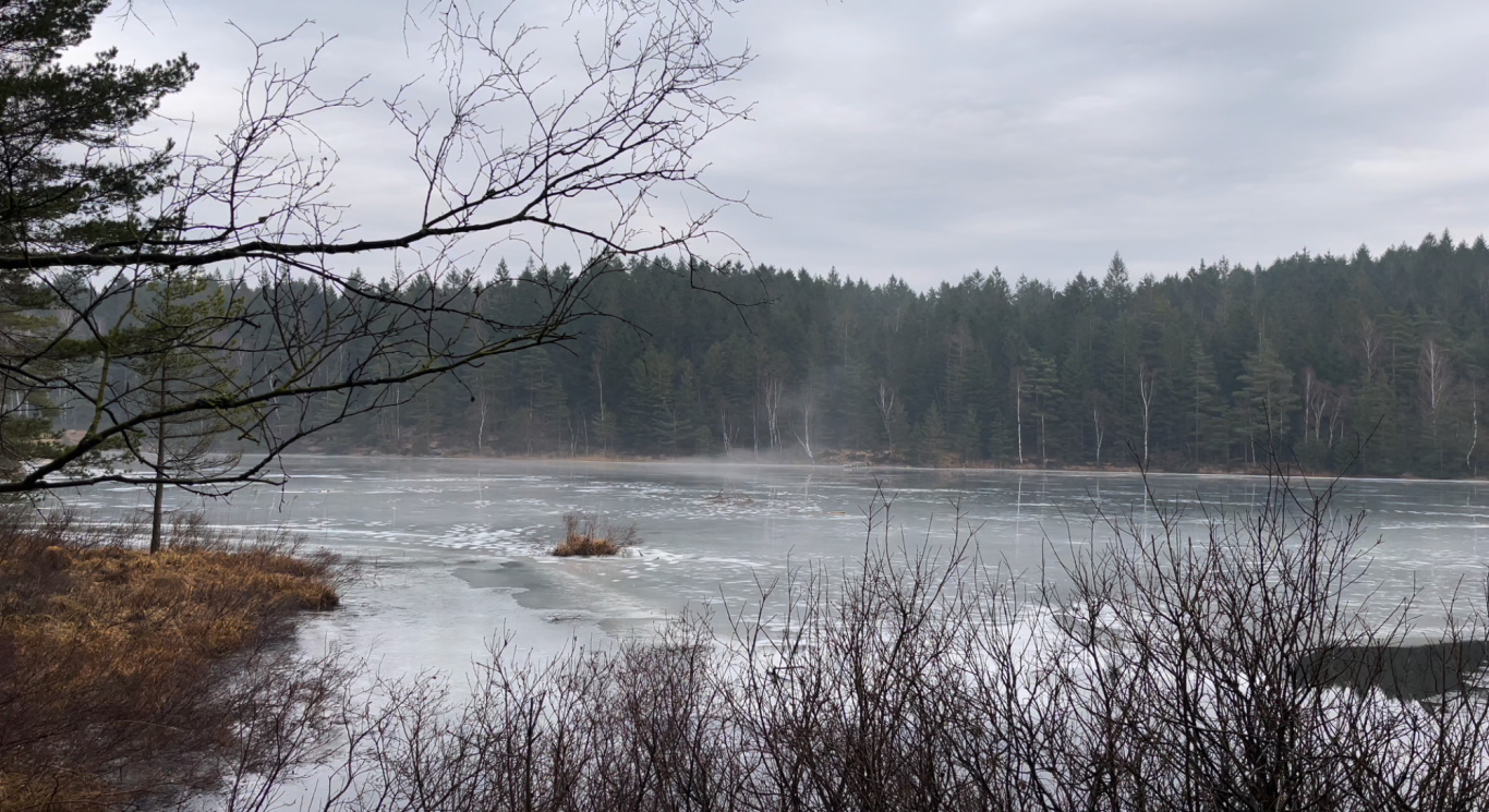 Isbelagda sjön Lugnt vattensystem omgiven av grönska och dimmiga skogar, med grå himmel.