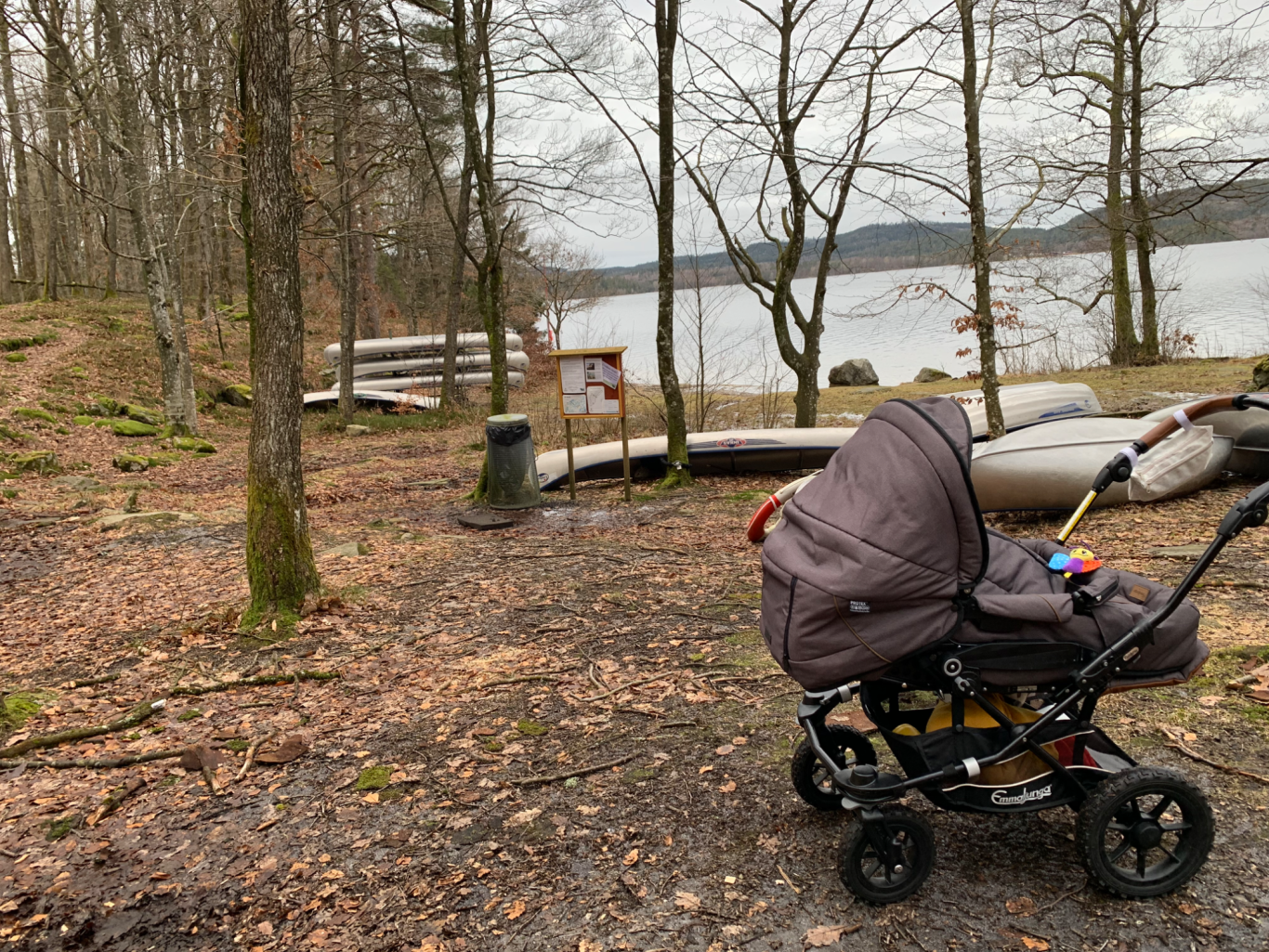 Stora Hornsjön Vagn på grusväg vid sjön, omgiven av träd och bänkar i en naturmiljö.