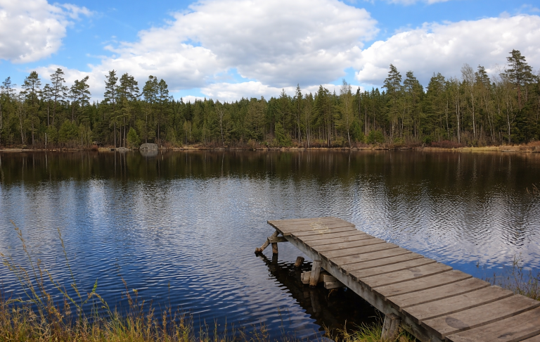 Brygga vid en stilla sjö omgiven av skog och en blå himmel med vita moln i Blekinge.