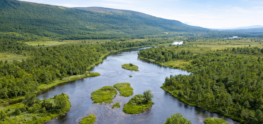 Flodkrök omgiven av grönska och höga berg i bakgrunden.