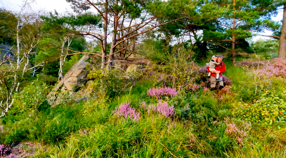 Försöker hitta stigen En person sitter i en grönskande miljö med lila blommor och träd i bakgrunden.