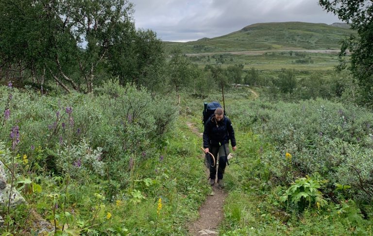 Vandrande person med ryggsäck på en stig bland gröna buskar och blommor.